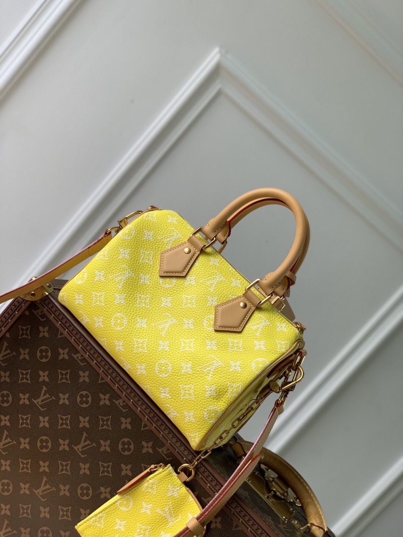 LV Travel Bags